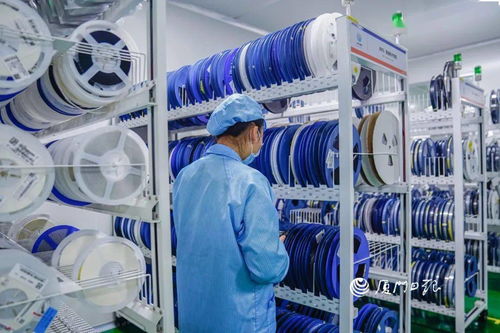 走進廈門高企 產品覆蓋國內3000多萬用戶，這家公司是行業領頭羊——深耕國內貿易代理的獨角獸